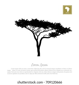 Black silhouette of a tree and white background. African nature. Umbrella acacia. Vector illustration