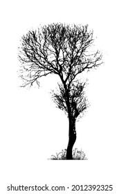 Black silhouette of a tree without leaves. Vector illustration