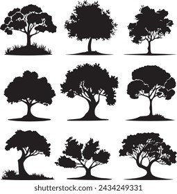 Black silhouette Trees isolated on white background