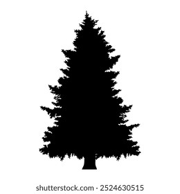 The black silhouette of the trees is spruce.