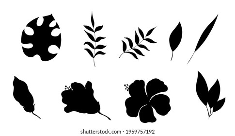 Black silhouette of tropical leaves of palm trees and hibiscus flowers. Vector illustration.