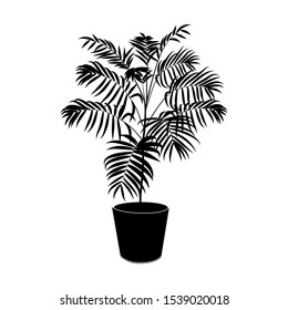 Black silhouette tropical palm tree in pot isolated on the white background, modern houseplants, icon, vector illustration
