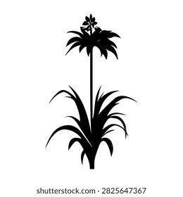 Black silhouette of a tropical palm tree with a tall stem and lush leafy crown, isolated on a white background, emphasizing natural beauty and tropical environment.