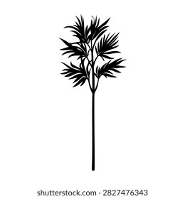 Black silhouette of a tropical palm tree with detailed fronds and slender trunk, isolated on a white background, emphasizing natural elegance and tropical vibe.