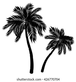 Black silhouette of a tropical palm tree on white background.