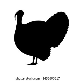 Black silhouette of a turkey. Vector illustration isolated on white background. Standing silhouette turkey profile side view, logo icon.
