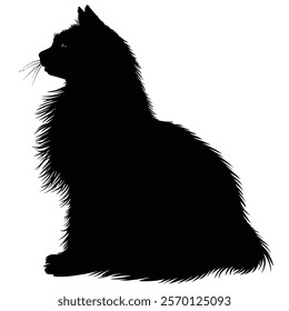 Black silhouette of a Turkish Angora