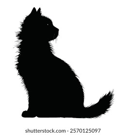 Black silhouette of a Turkish Angora