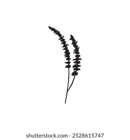 Black silhouette of two flowering stems with blossoms on a white background