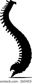 Un Vector de silueta negra de la columna vertebral humana (columna vertebral), que muestra la estructura de la columna vertebral desde el cuello hasta la parte baja de la espalda. Perfecto para su uso en infografías médicas, imágenes quiroprácticas.
