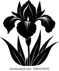 Black Silhouette Vector Iris Full Length.