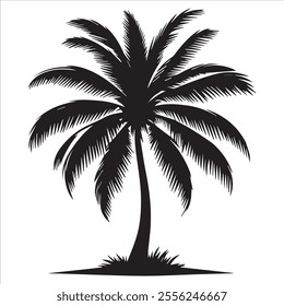 Black Silhouette Vector of a Tropical Palm Tree Isolated on White Background