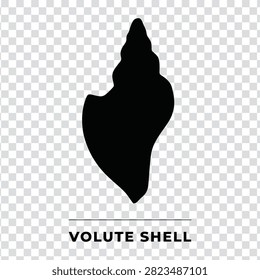 Black silhouette of a volute shell, a type of marine gastropod mollusk, isolated on a transparent background. Vector illustration.