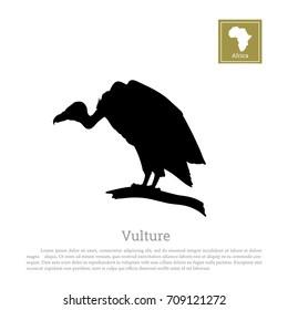 Black silhouette of a vulture on a white background. African animals. Vector illustration