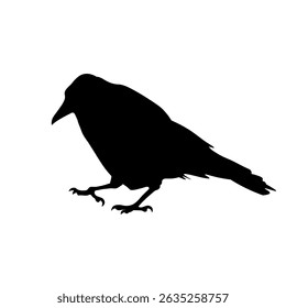Black silhouette of a walking crow. Vector icon isolated on white background