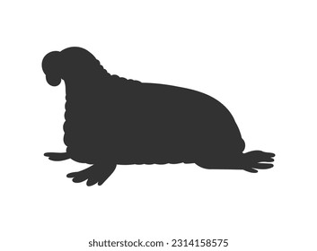 Black silhouette of walrus marine mammal flat style, vector illustration isolated on white background. Decorative design element, water arctic sea animal