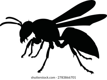 Black silhouette of a wasp or bee isolated on white background