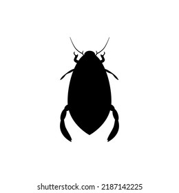 Black silhouette of water beetle. Predatory large swimmer living and hunting in aquatic environment. Snack with high content of natural vector protein