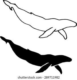black silhouette of a whale, and the whale outline. floating mammal. graphic design.
