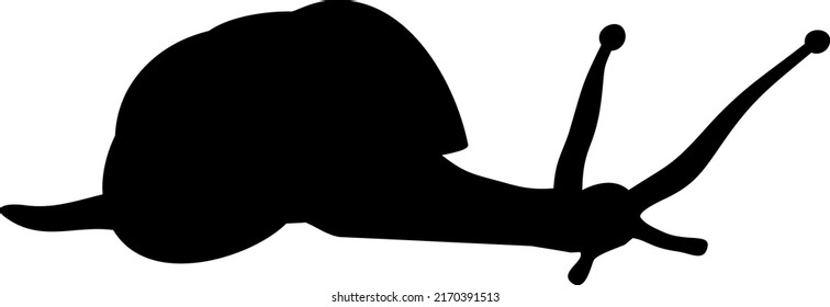 Black silhouette of White-lipped snail (Cepaea hortensis)