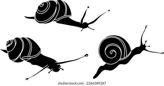 Black silhouette of White-lipped snail (Cepaea hortensis)	