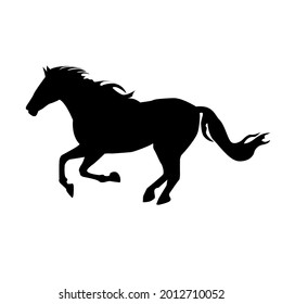 Black silhouette of a wild horse