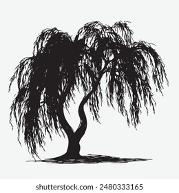 black silhouette of willow tree isolated white background