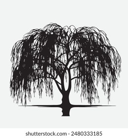 black silhouette of willow tree isolated white background