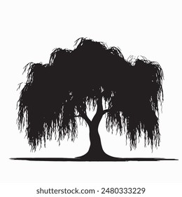 black silhouette of willow tree isolated white background