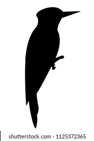 Black silhouette. Woodpecker bird. Flat cartoon character design. Black bird icon. Cute woodpecker template. Vector illustration isolated on white background.