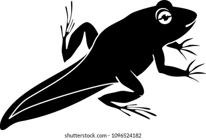 Black silhouette of young frog with tail