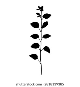 A black silhouette of a young plant with multiple leaves on a white background, symbolizing growth and nature.