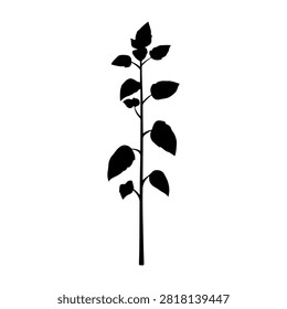Black silhouette of a young plant with multiple leaves on a white background, emphasizing growth and nature symbolism.