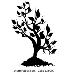 Schwarze Silhouette von jungen Aufnahmen von Baum mit Blättern in Heap von Boden einzeln auf weiß. Vectordesign-Element.