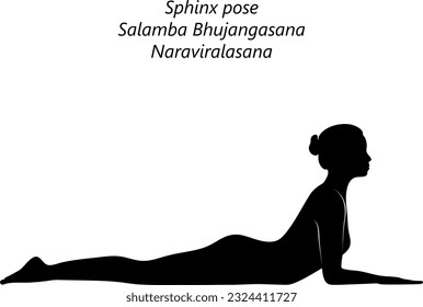 Black silhouette of young woman practicing yoga, doing Sphinx pose. Salamba Bhujangasana. Naraviralasana. Backbend. Prone and Backbend. Beginner.  Isolated vector illustration.