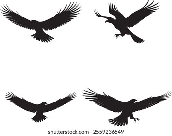 Black silhouettes of 4 different ravens on a white background Vector