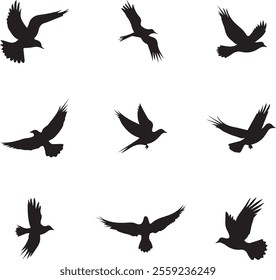 Black silhouettes of 9 different ravens on a white background Vector