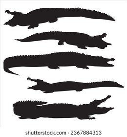 Black silhouettes of alligators and crocodiles on a white background. A vector illustration for wildlife, nature, and education.