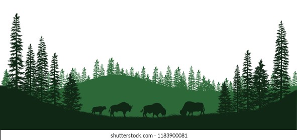 Black silhouettes of american bison. Natural panorama of forest animals. Isolated landscape. Wildlife scene. Vector illustration