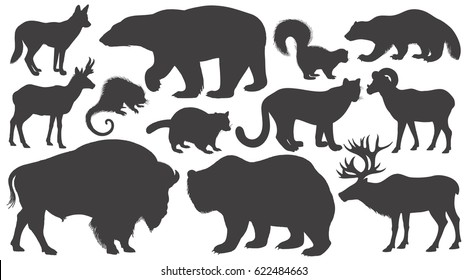 Black silhouettes animals of North America on white background set. Vector illustration art. Polar bear, coyote, puma, skunk, wolverine, antelope, raccoon, porcupine, reindeer, ram, bison, grizzly.