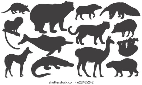 Black silhouettes animals of South America on white background set. Vector illustration art. Bear, battleship, tamarin, wolf, dolphin, lama, jaguar, anteater, peccary, sloth, tapir, capybara, caiman.