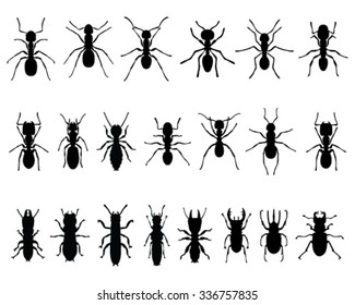 Black silhouettes of ants and termites, vector
