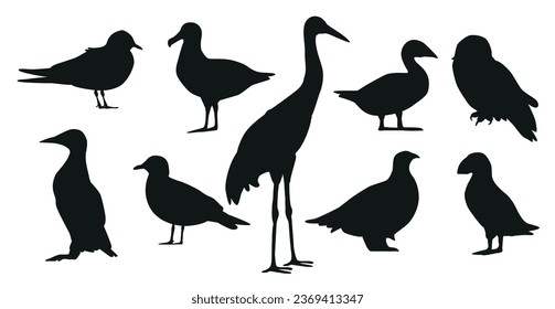 Black Silhouettes of Arctic Bird Species. Puffin, Snowy Owl, Arctic Tern, Common Eider, Guillemot, Sanderling