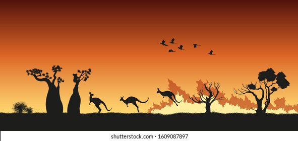 Black Silhouettes Of Australian Animals In Bushfire. Pray For Australia.  Scene Of Forestfire With Kangaroo, Koala And Parrots. Vector Illustration