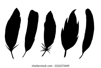 Black silhouettes of a bird feather. Vector isolated on white