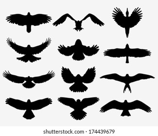 Black silhouettes of birds in flight, vector illustration