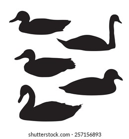 black silhouettes of birds: swans and ducks