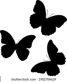 black silhouettes of butterflies isolated on white background. vector set of tropical insects