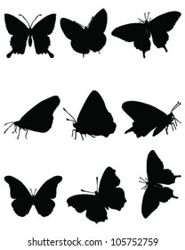 Black silhouettes of butterflies on a white background, vector