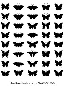 Black silhouettes of butterflies on a white background, vector